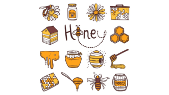 honeybees lesson plan