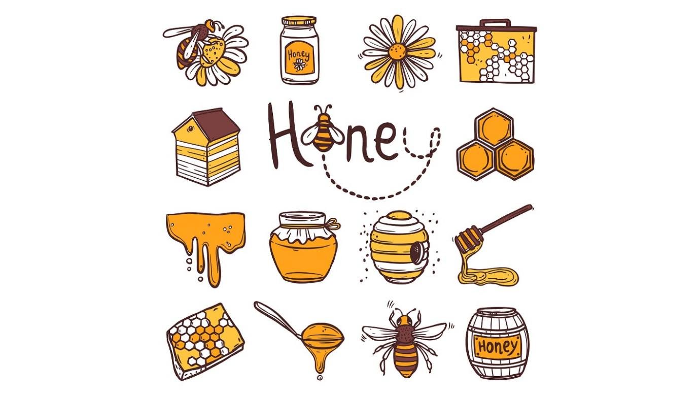 Honeybees Are Important Lesson Plan ESL Brains