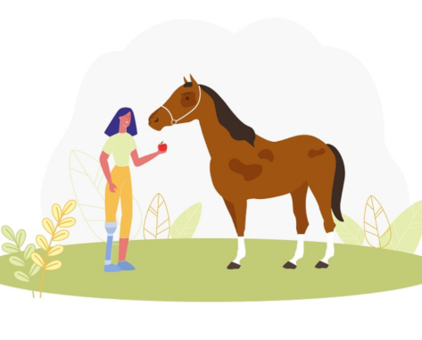 horse idioms