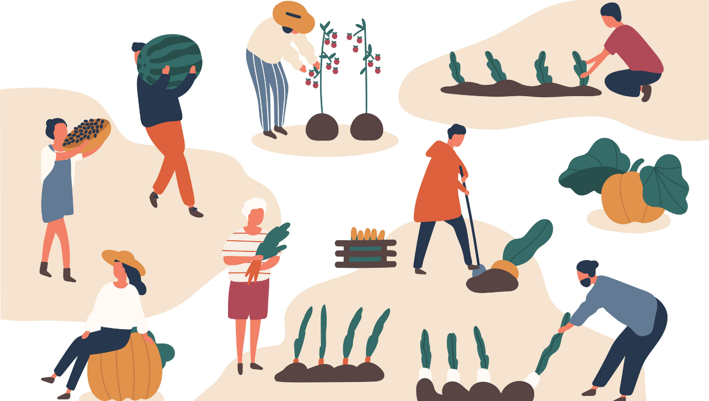 Ditch the lawn! Lesson Plan ESL Brains