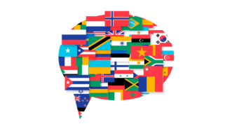 advanced lesson on flags