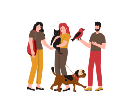 ESL lesson on animal treatment